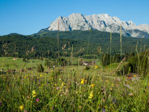 (c) Alpenwelt Karwendel, Hubert Hornsteiner